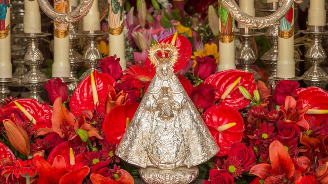 fundas movil romerías