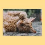 Puzzle Personalizado Foto - Imagen 3