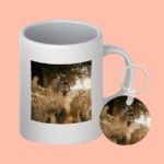 Pack Regalo Foto Taza + Llavero